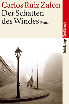 Der Schatten des Windes