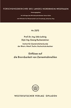 Einflüsse auf die Brennbarkeit von Zementrohmehlen