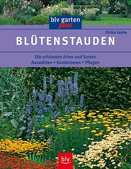 Blütenstauden