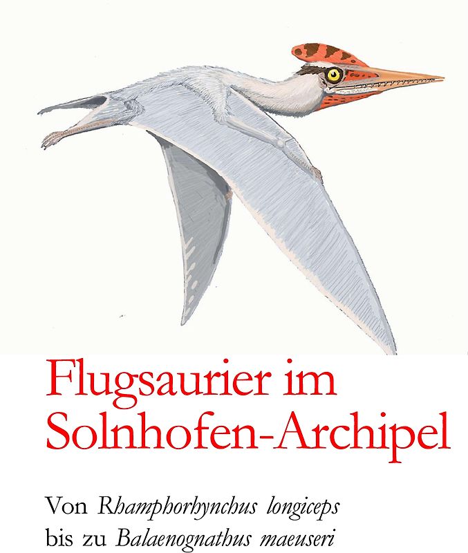Flugsaurier im Solnhofen-Archipel