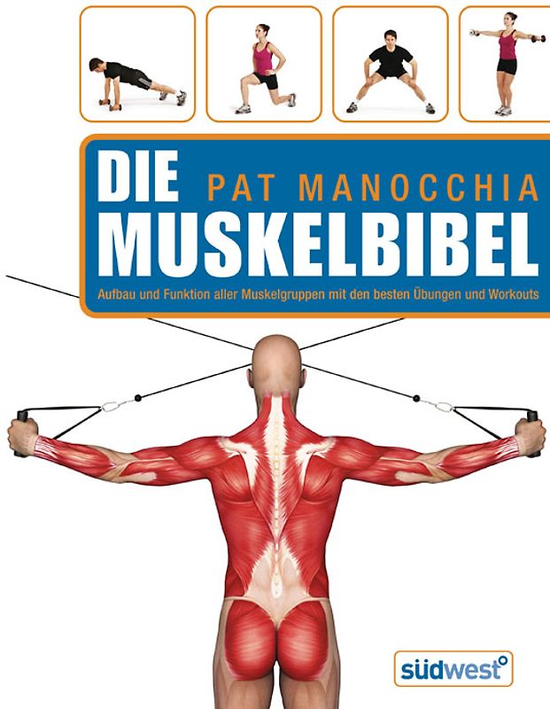 Die Muskelbibel