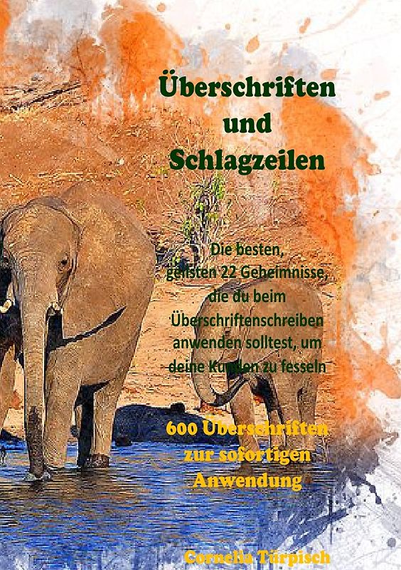 Überschriften und Schlagzeilen &amp; 600 Überschriften für Ihr Business zum sofortigem anwenden