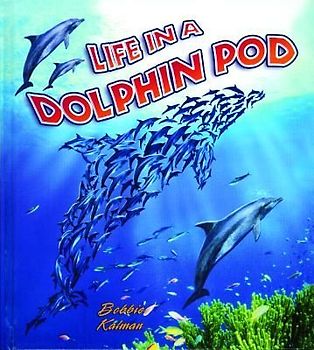 Life in a Dolphin Pod
