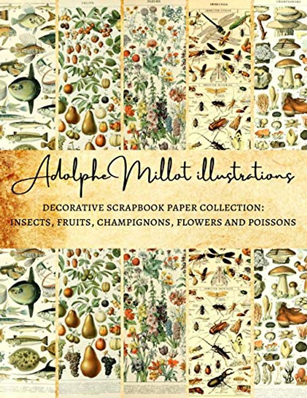 Adolphe Millot Illustrations | Decorative Scrapbook Paper Collection: Insects, Fruits, Champignons, Flowers and Poissons: Premium Scrapbooking Sheets ... Gift Wrapping, Card Making and More