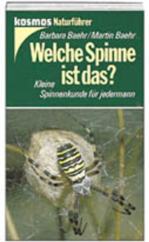 Welche Spinne ist das?. Kleine Spinnenkunde für jedermann