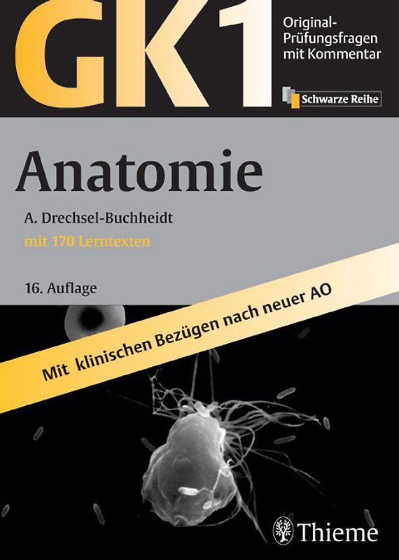 GK 1 - Anatomie