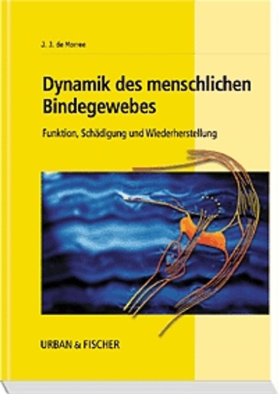 Dynamik des menschlichen Bindegewebes