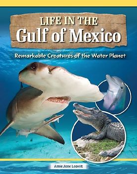 Amazing Creatures of the Gulf of Mexico