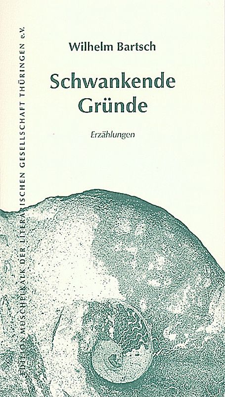 Schwankende Gründe