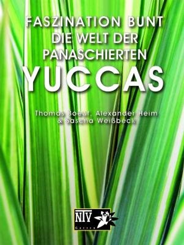 Faszination bunt - Die Welt der panaschierten Yuccas