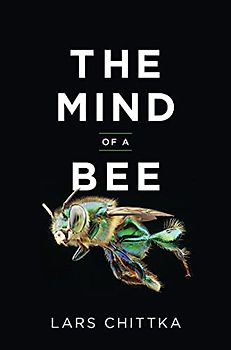 The Mind of a Bee
