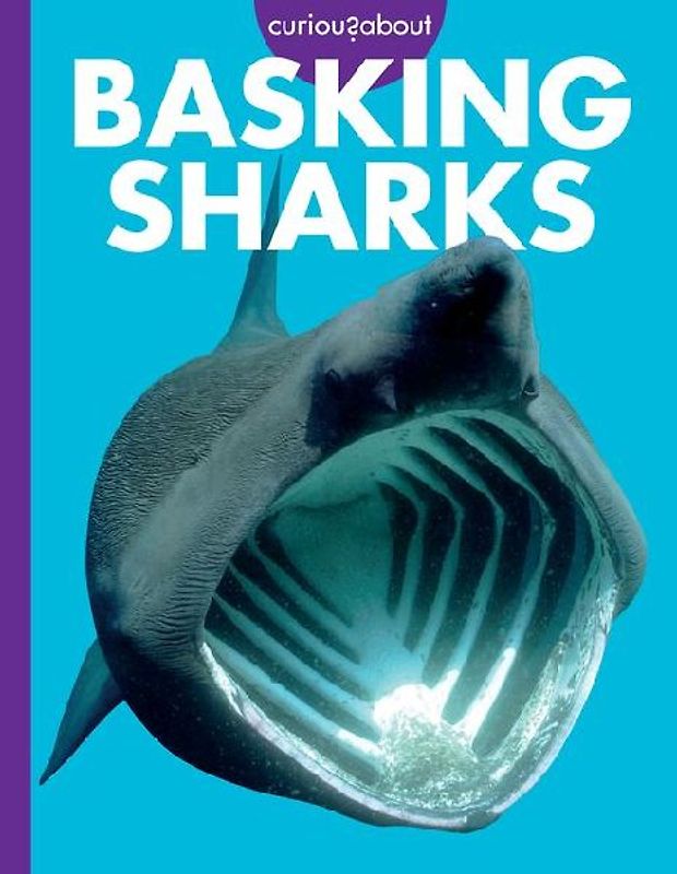 Curious about Basking Sharks