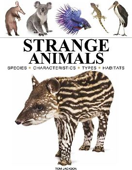 Strange Animals