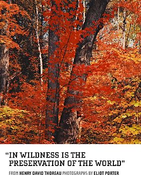 In Wildness is the Preservation of the World
