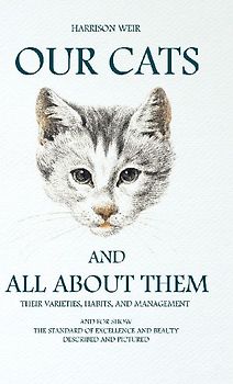 Our Cats and All about Them - Their Varieties, Habits, and Management