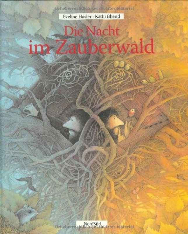 Die Nacht im Zauberwald