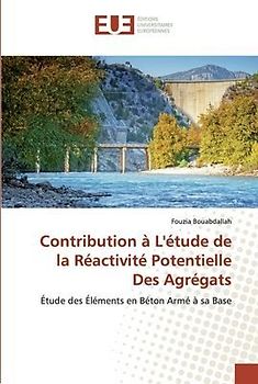 Contribution à L'étude de la Réactivité Potentielle Des Agrégats
