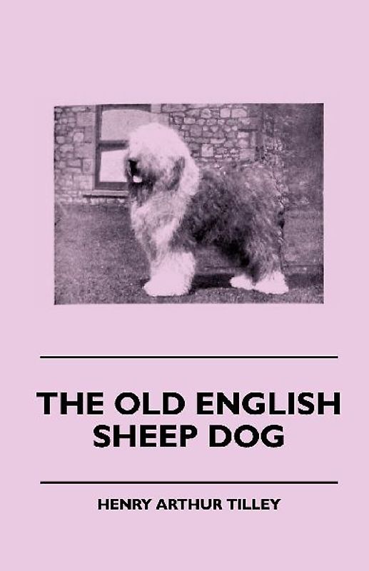 The Old English Sheep Dog