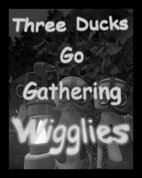 Three Ducks Go Gathering Wigglies