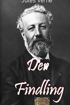 Illustrierte Jules-Verne-Reihe / Der Findling