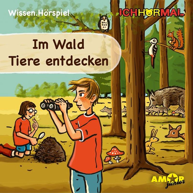 Im Wald Tiere entdecken - Wissen.Hörspiel ICHHöRMAL