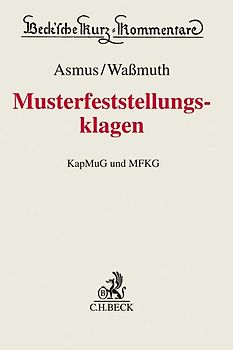 Kollektive Rechtsdurchsetzung