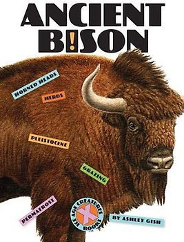Ancient Bison