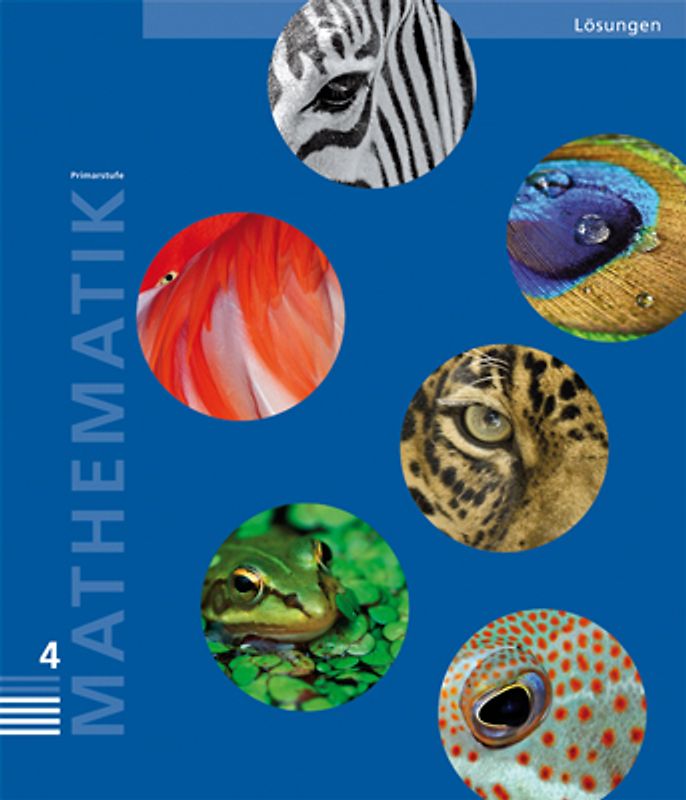 Mathematik 4 Primarstufe / Lösungen
