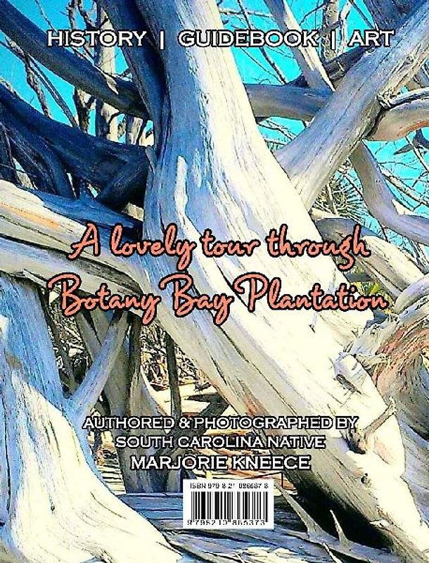 Botany Bay, Dream Away