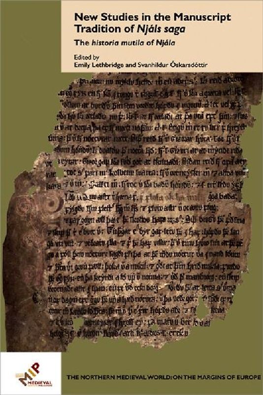 New Studies in the Manuscript Tradition of Njáls saga