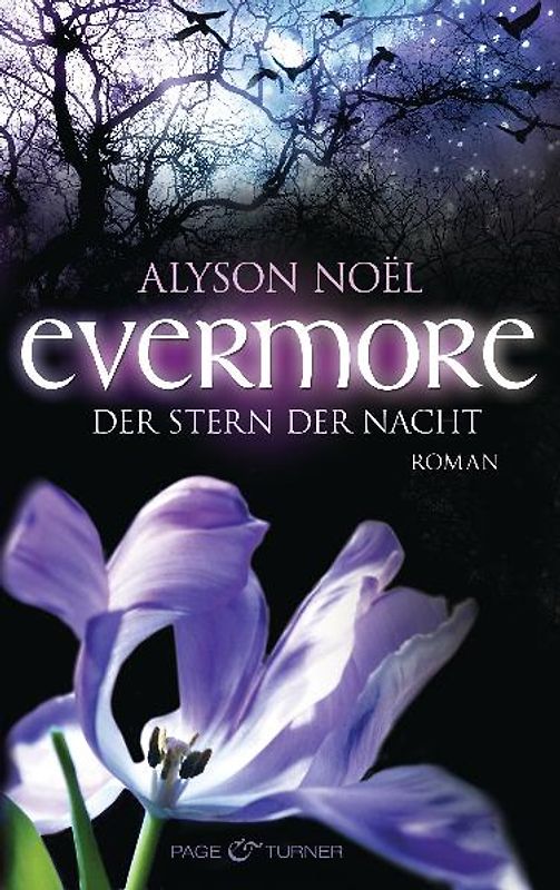 Evermore 5 - Der Stern der Nacht