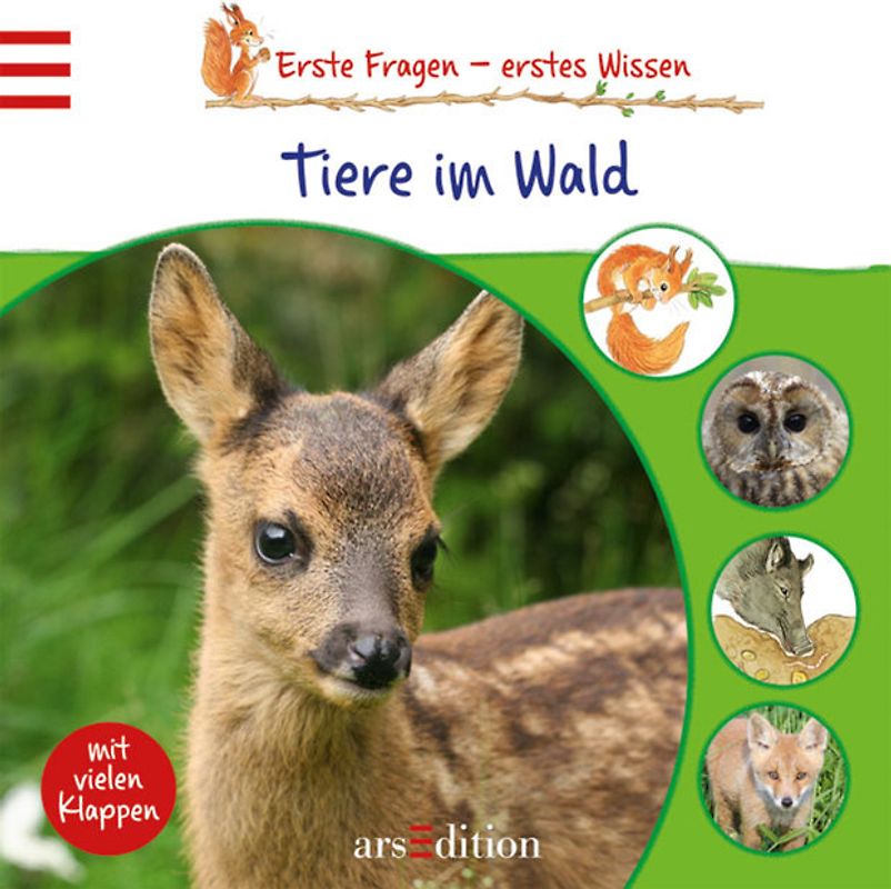 Tiere im Wald