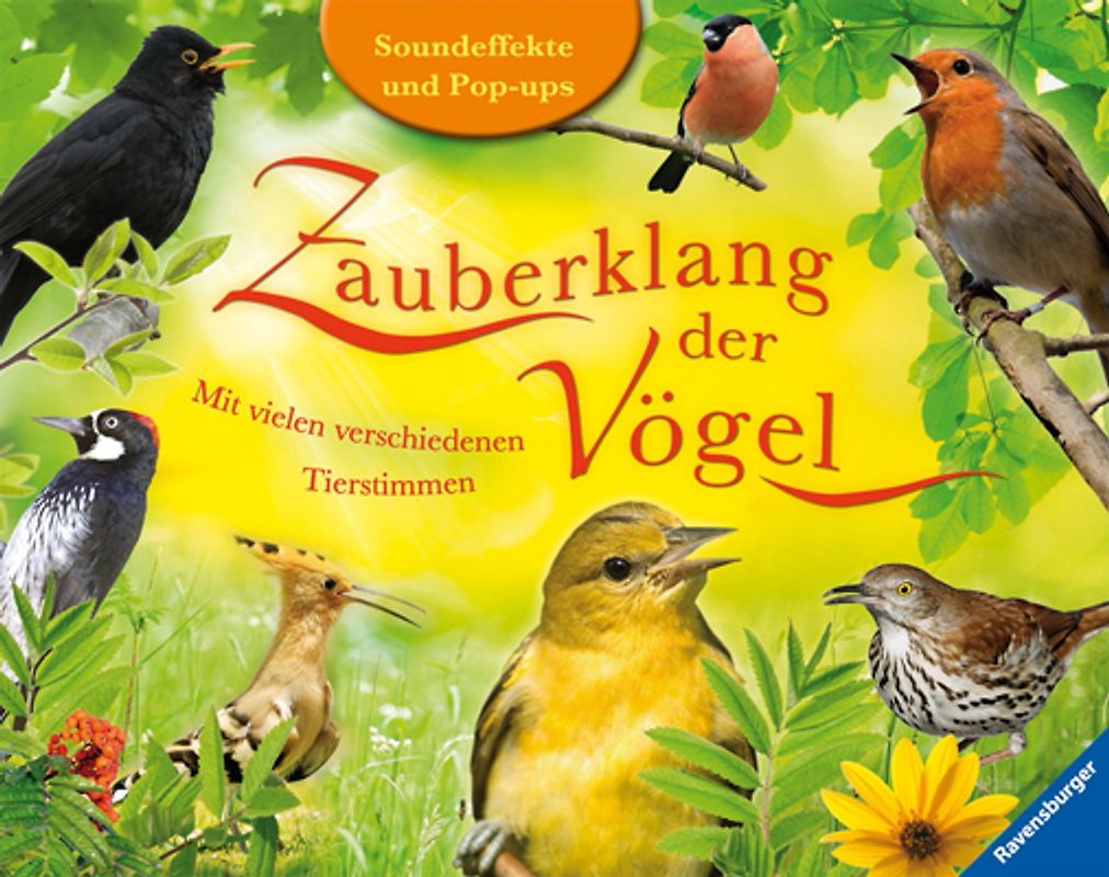 Zauberklang der Vögel