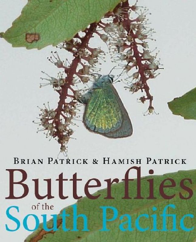 Butterflies of the South Pacific