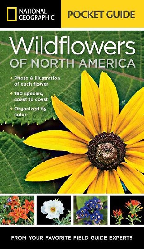 National Geographic Pocket Guide to Wildflowers of North America (National Geographic Pocket Gde) - Howell, Catherine Herbert
