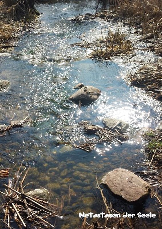 Metastasen der Seele 2018