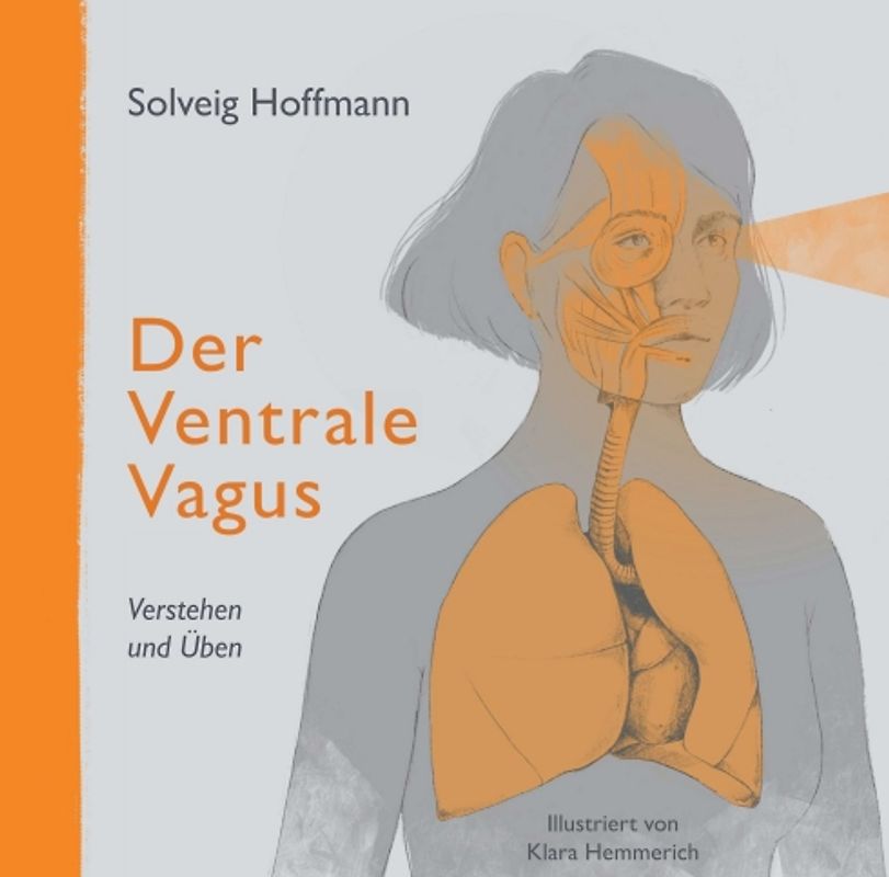 Der Ventrale Vagus