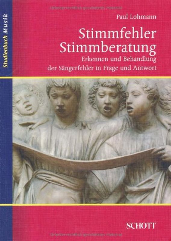 Stimmfehler – Stimmberatung