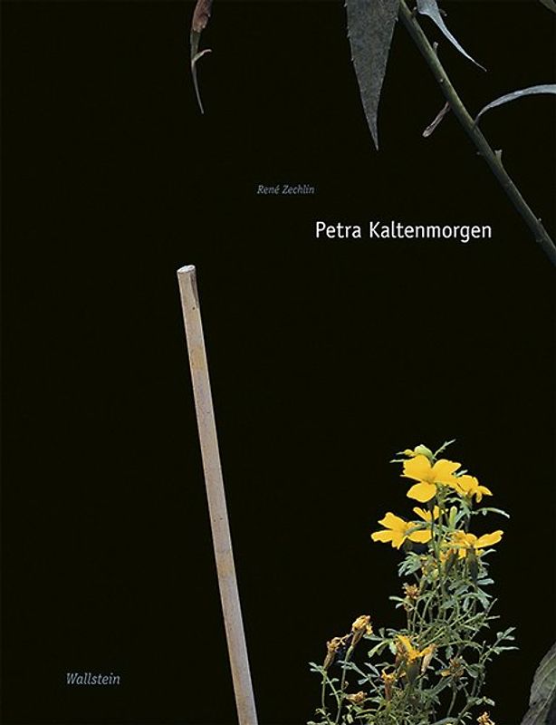 Petra Kaltenmorgen