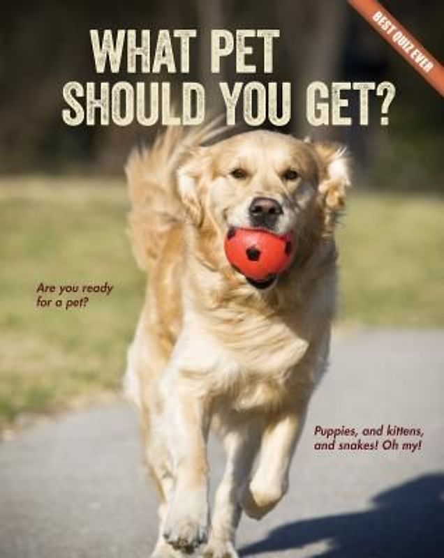 What Pet Should You Get?