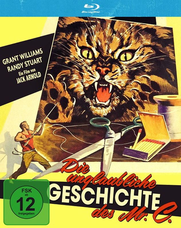 Die unglaubliche Geschichte des Mr. C Blu-ray Disc