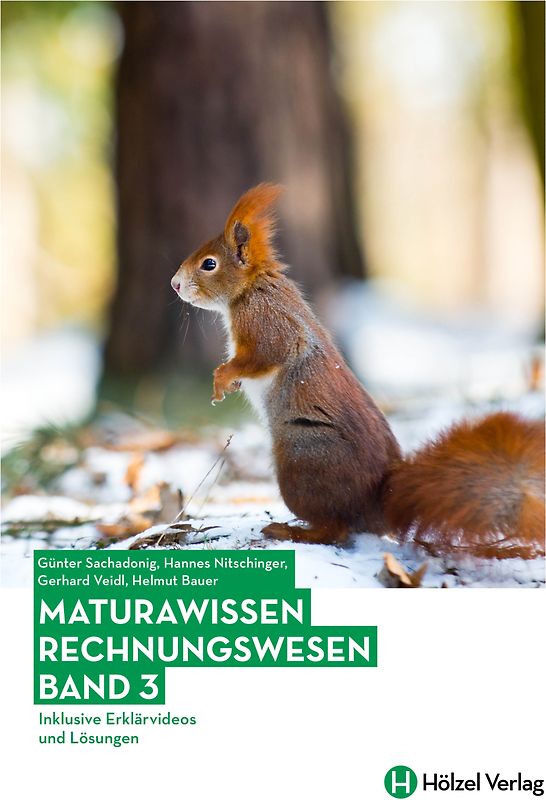 Maturawissen / Rechnungswesen Band 3