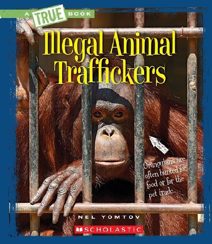 Illegal Animal Traffickers (a True Book: The New Criminals)