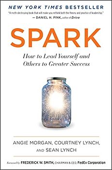 Spark: How to Lead Yourself and Others to Greater Success