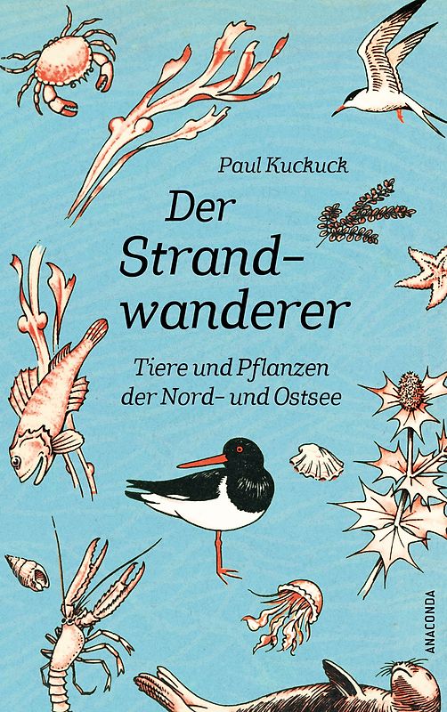 Der Strandwanderer. Tiere und Pflanzen der Nord- und Ostsee