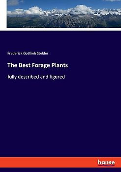 The Best Forage Plants