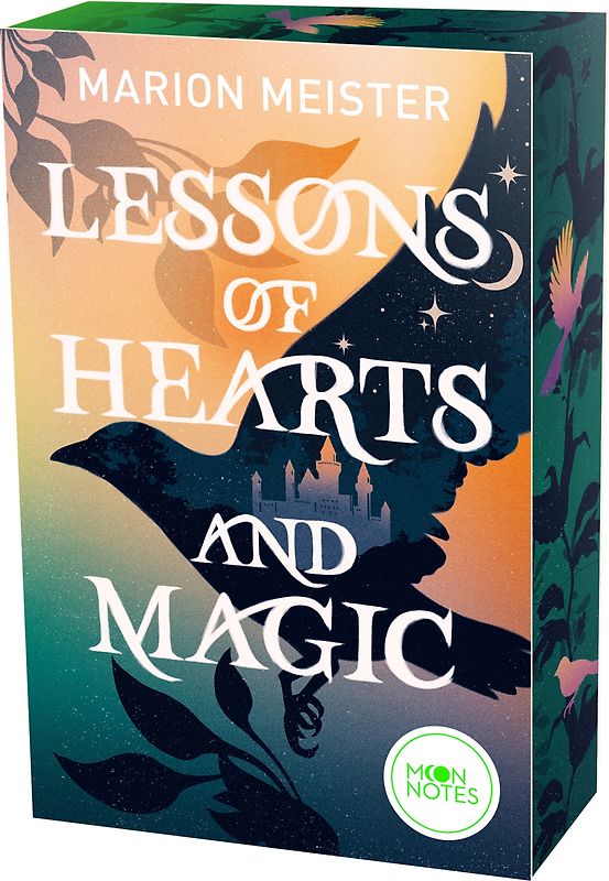 Lessons of Hearts and Magic