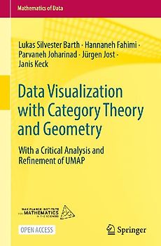 Data Visualization with Category Theory and Geometry