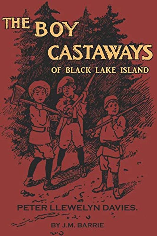 The Boy Castaways of Black Lake Island