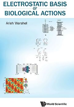 ELECTROSTATIC BASIS OF BIOLOGICAL ACTIONS